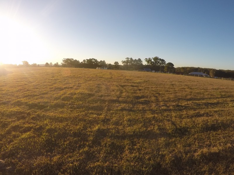 Lot 216 Harvest Close, Medowie NSW 2318