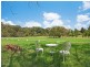 274 Marsh Road, Bobs Farm NSW 2316