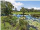 274 Marsh Road, Bobs Farm NSW 2316