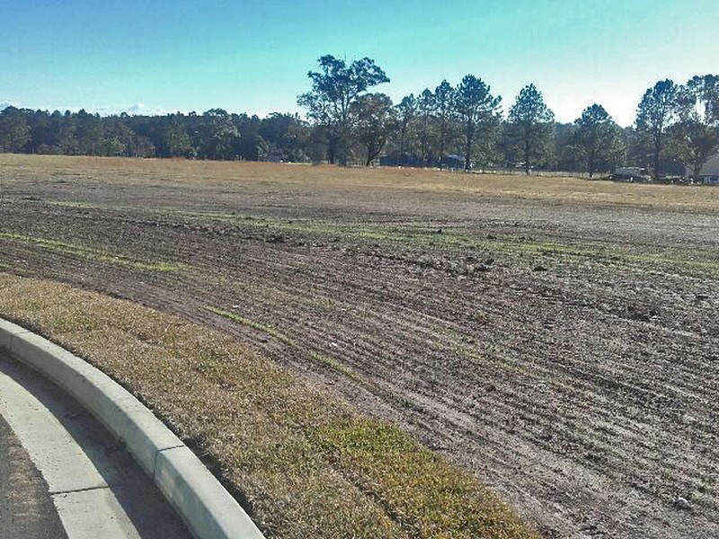 Lot 205 Harvest Close, Medowie NSW 2318