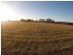 Lot 205 Harvest Close, Medowie NSW 2318