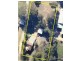 115 Richardson Road, Raymond Terrace NSW 2324