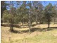 Lot 43/124 Duns Creek Road, Berry Park NSW 2321