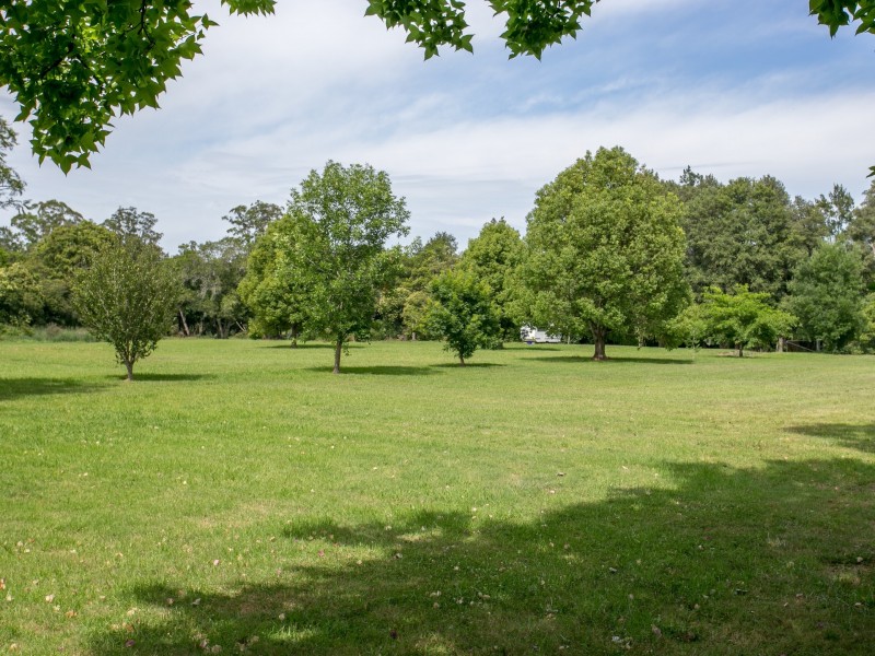 49 Cowper Street, Stroud NSW 2425