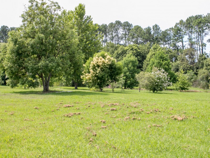 49 Cowper Street, Stroud NSW 2425