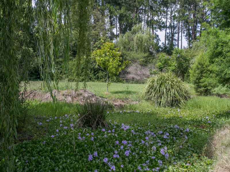 49 Cowper Street, Stroud NSW 2425