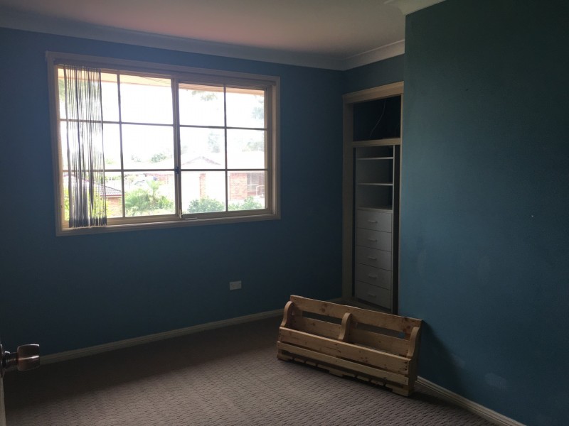 6 Mountain Ash Close, Medowie NSW 2318