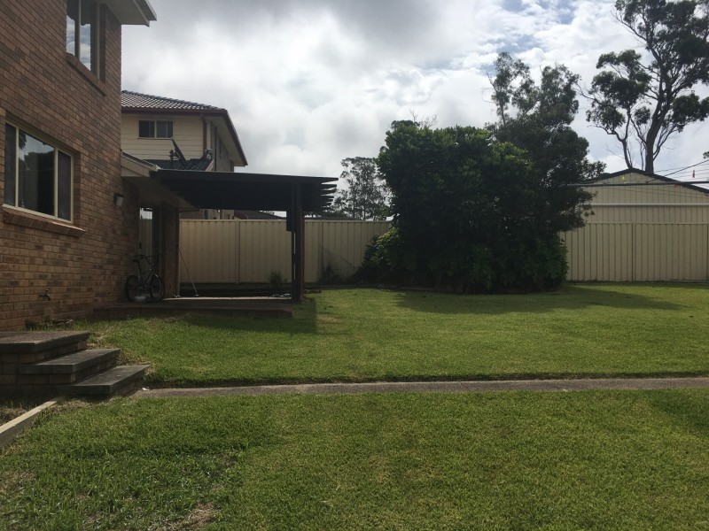 6 Mountain Ash Close, Medowie NSW 2318