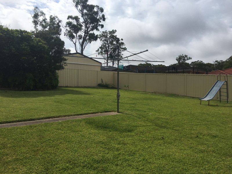 6 Mountain Ash Close, Medowie NSW 2318