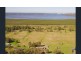 495 Cabbage Tree Road, Williamtown NSW 2318
