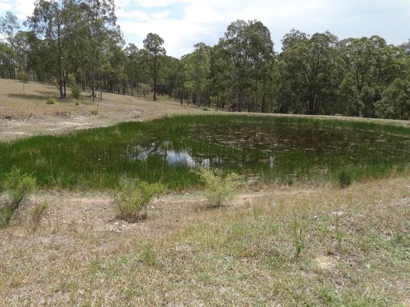 486 Warraba Road, The Branch NSW 2425