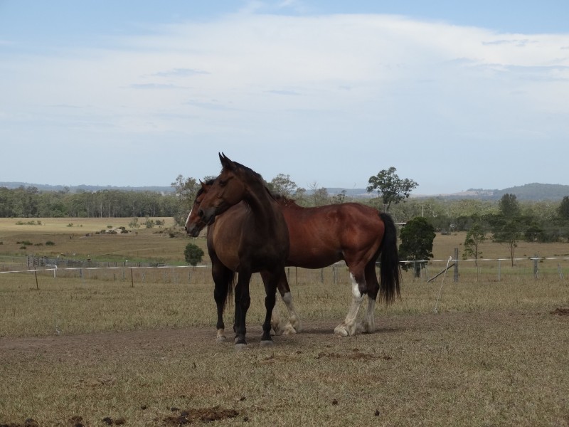 486 Warraba Road, The Branch NSW 2425