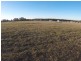 Lot 203, 3 Wade Close, Medowie NSW 2318