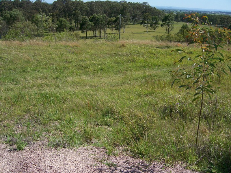 1C Giles Road, Seaham NSW 2324