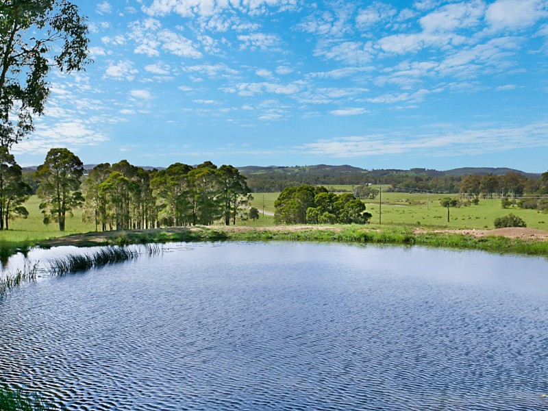 520 Warraba Road, The Branch NSW 2425