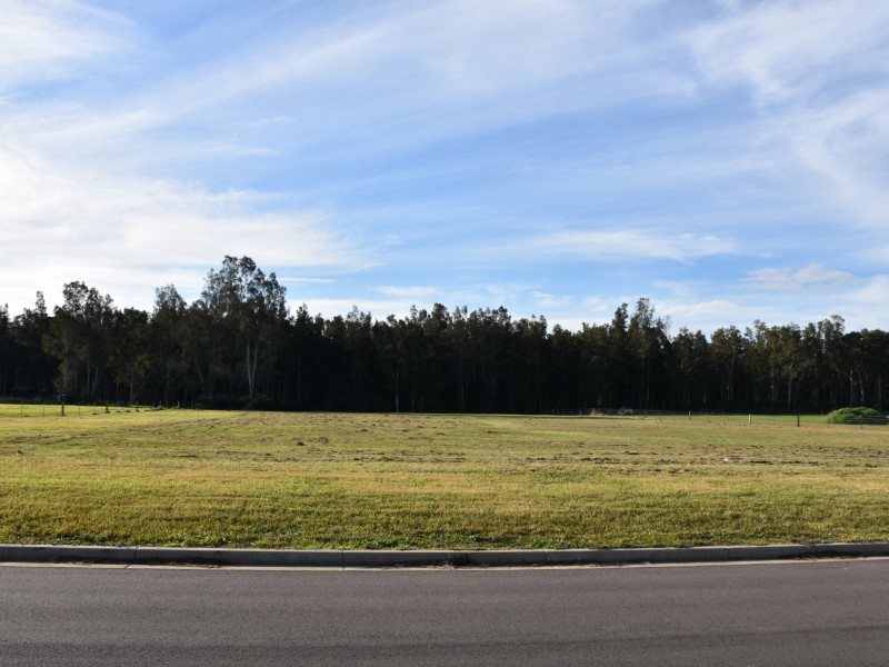 17 Pastures Drive, Medowie NSW 2318