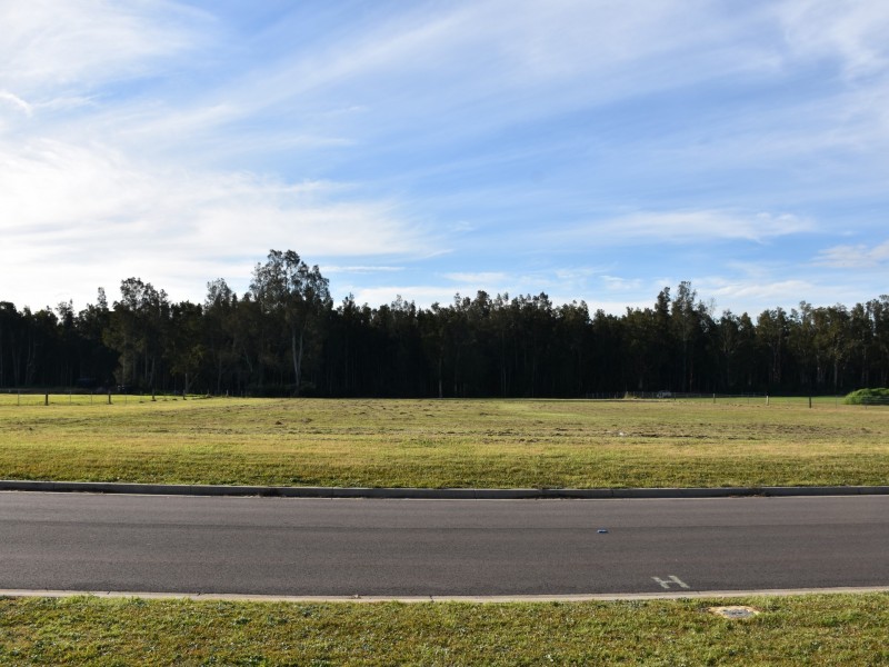 17 Pastures Drive, Medowie NSW 2318