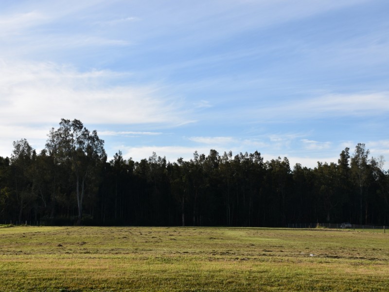 17 Pastures Drive, Medowie NSW 2318
