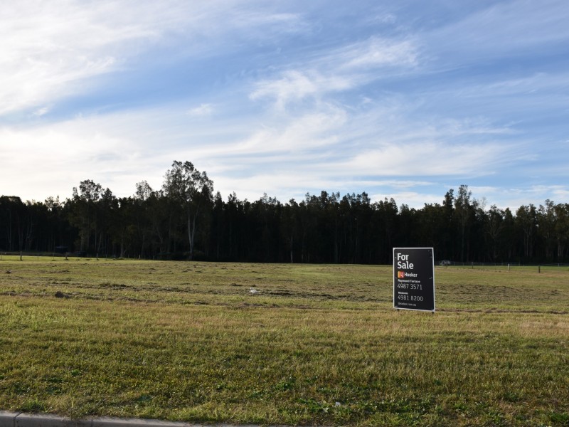 17 Pastures Drive, Medowie NSW 2318