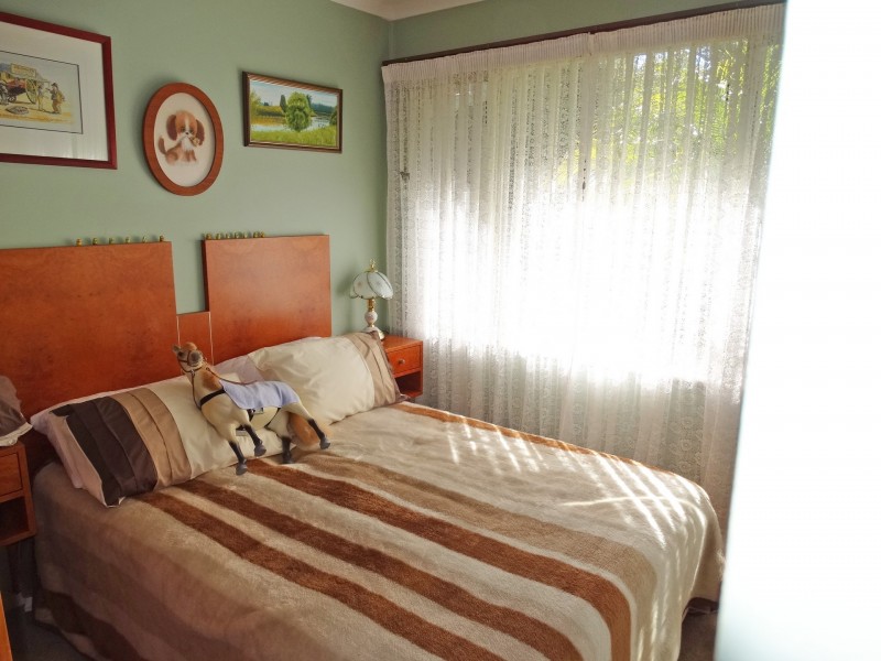 425 Cabbage Tree Road, Williamtown NSW 2318