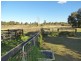 425 Cabbage Tree Road, Williamtown NSW 2318