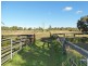 425 Cabbage Tree Road, Williamtown NSW 2318