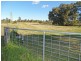 425 Cabbage Tree Road, Williamtown NSW 2318