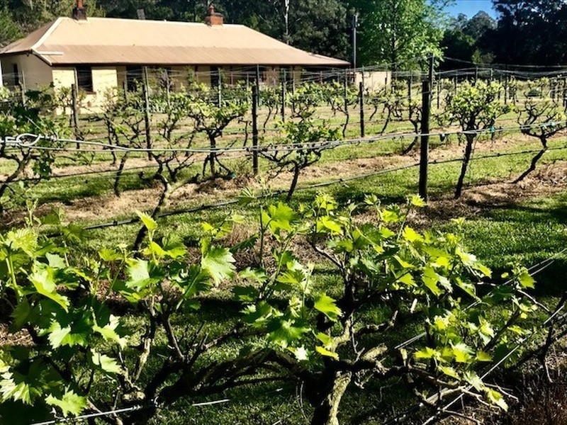 2653 Buckets Way Road, Booral NSW 2425