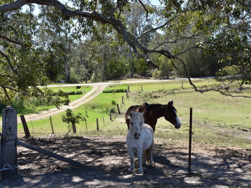 13 Rifle Street, Clarence Town NSW 2321