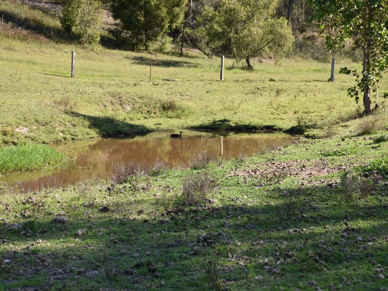 13 Rifle Street, Clarence Town NSW 2321