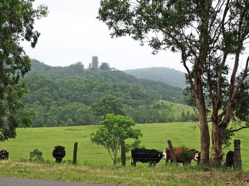 Lot 3 Booral Road, Girvan NSW 2425