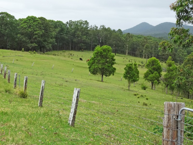 Lot 3 Booral Road, Girvan NSW 2425