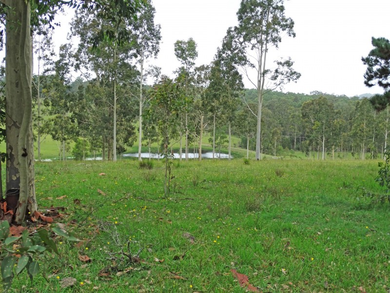 Lot 3 Booral Road, Girvan NSW 2425