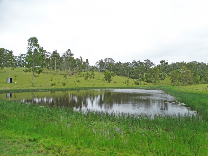 Lot 3 Booral Road, Girvan NSW 2425