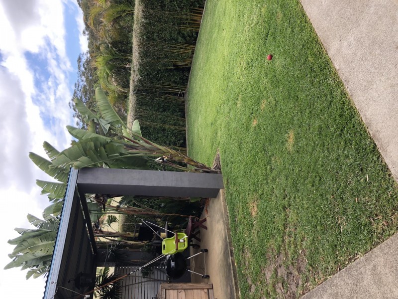 24 Coachwood Drive, Medowie NSW 2318