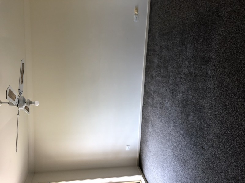 2 Kunzea Close, Medowie NSW 2318