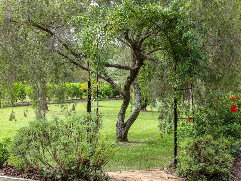 4 Windeyer Close, Medowie NSW 2318