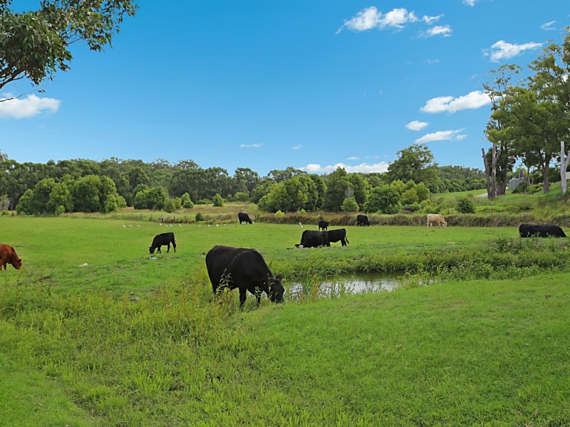 40b Joseph Sheen Drive, Raymond Terrace NSW 2324