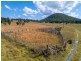 486 Warraba Road, The Branch NSW 2425