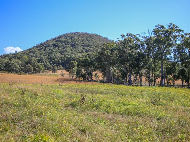 486 Warraba Road, The Branch NSW 2425