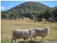 486 Warraba Road, The Branch NSW 2425