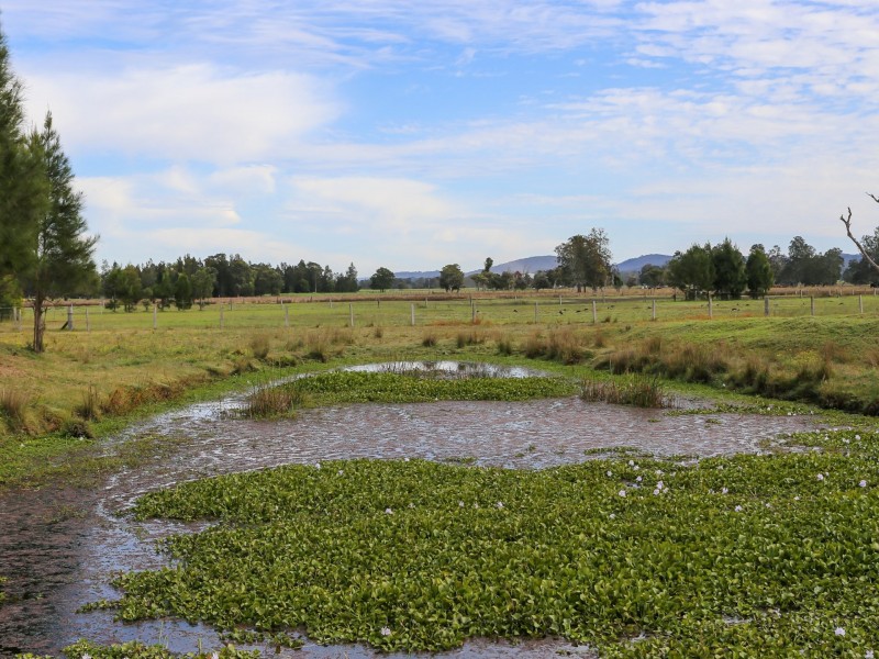 370 Six Mile Road, Eagleton NSW 2324