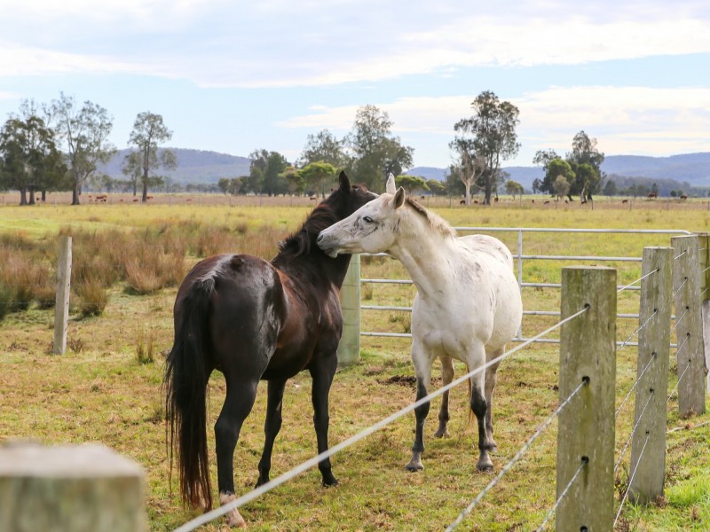 370 Six Mile Road, Eagleton NSW 2324