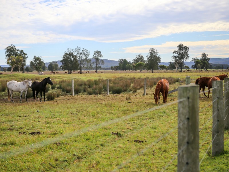 370 Six Mile Road, Eagleton NSW 2324