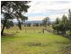 370 Six Mile Road, Eagleton NSW 2324