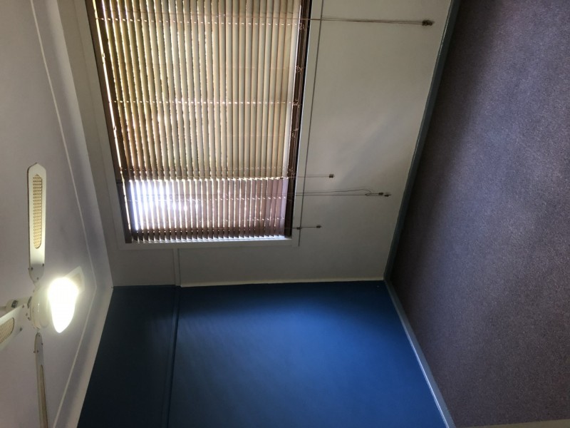 19 Anne Street, Raymond Terrace NSW 2324