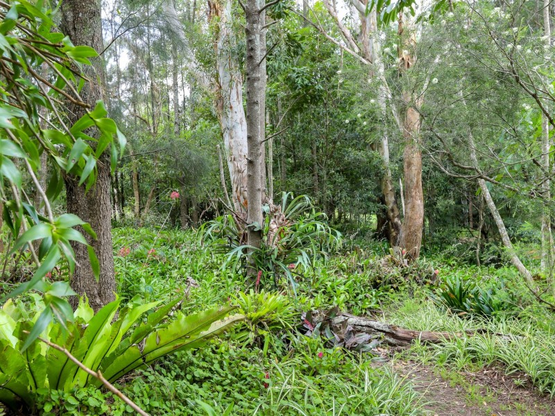 53 Brandy Hill Drive, Brandy Hill NSW 2324