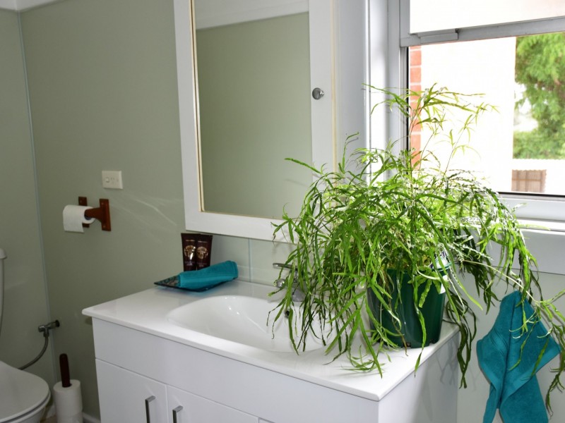 52 Wahroonga Street, Raymond Terrace NSW 2324