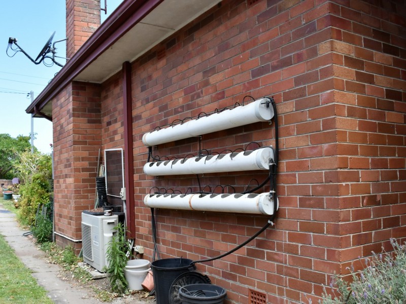 54 Wahroonga Street, Raymond Terrace NSW 2324