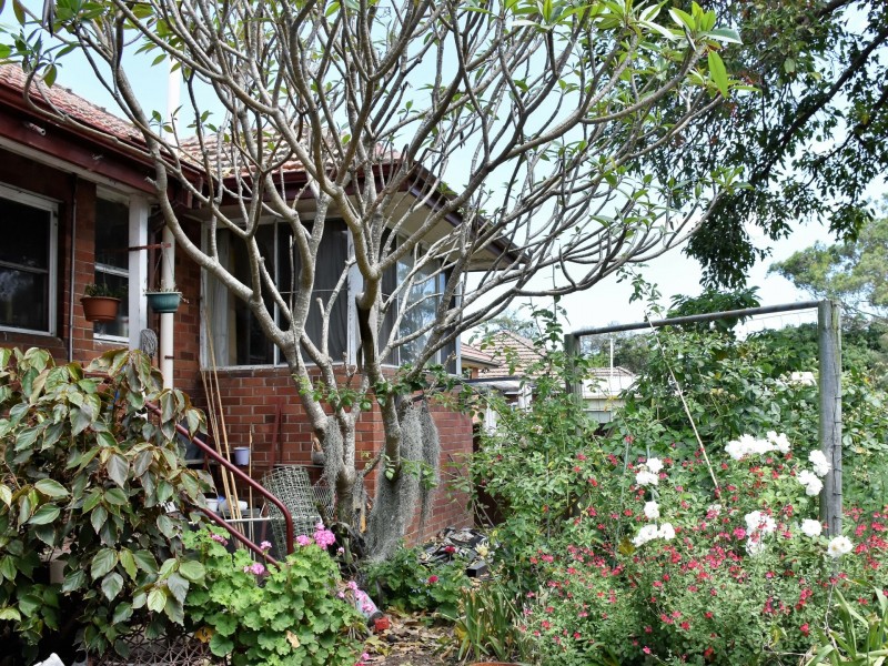 54 Wahroonga Street, Raymond Terrace NSW 2324